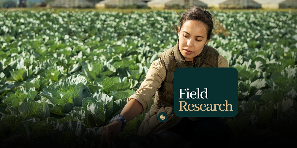 Field Research